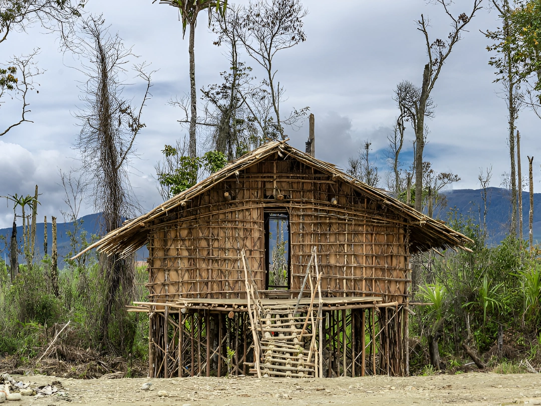 foto 1 - rumah kaki seribu