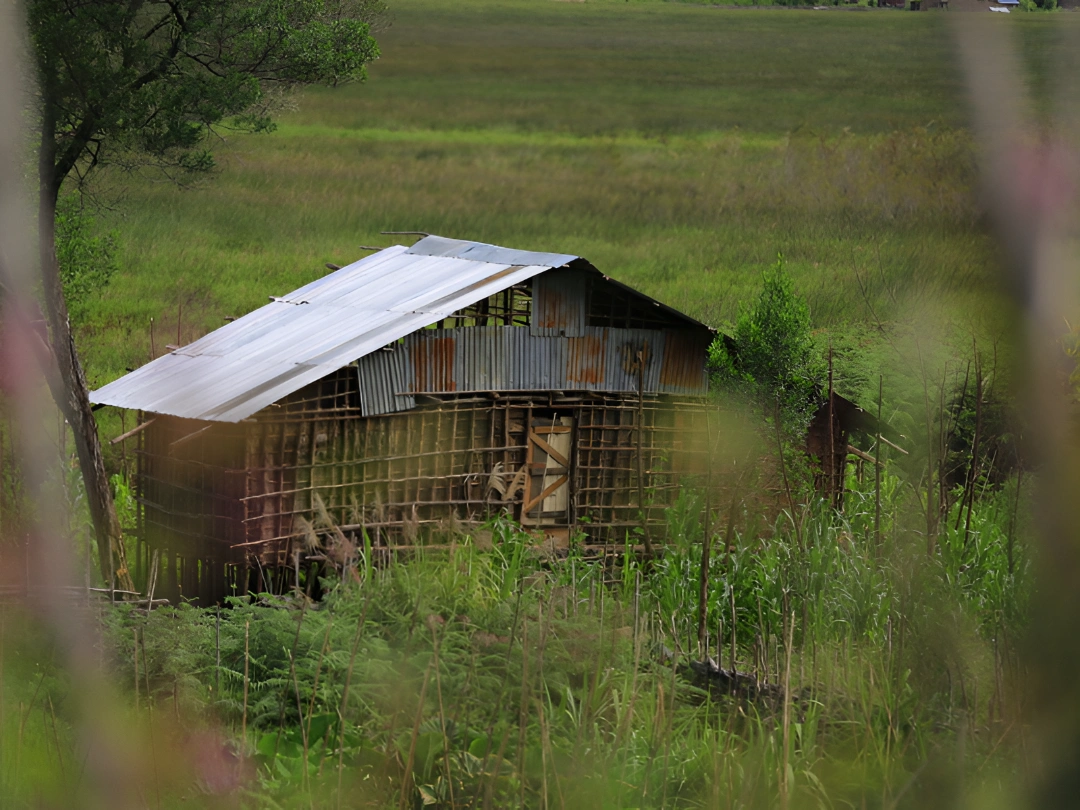 foto 3 - rumah kaki seribu