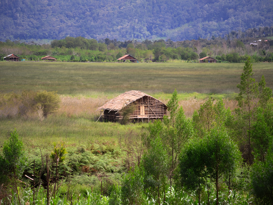foto 4 - rumah kaki seribu