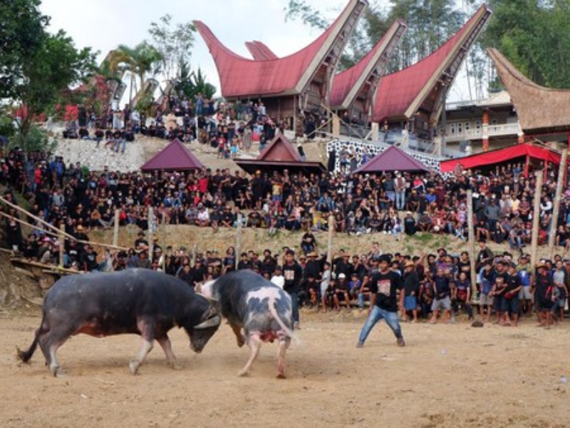 Sanksi Adat Toraja