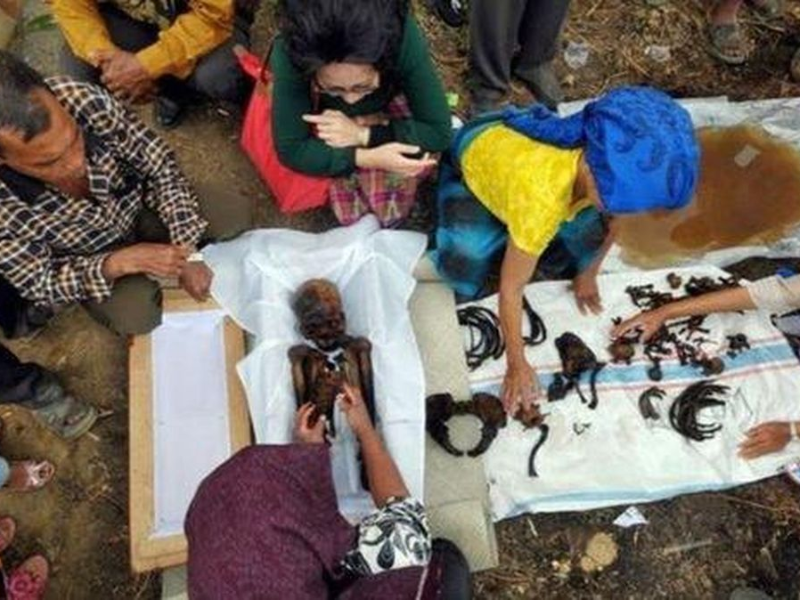 Tradisi Mangokal Holi