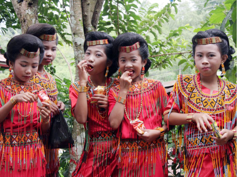 Pokko Toraja Pakaian Adat