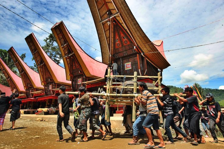 Rambu Solo Adalah Fakta Mengejutkan di Balik Pemakaman Mahal Toraja