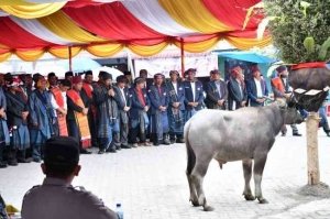 Mangalahat Horbo