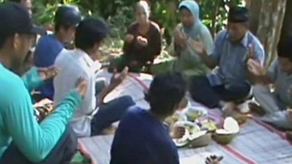 Mattammu Buah Sulawesi