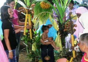 Mopolihu Lo Limu