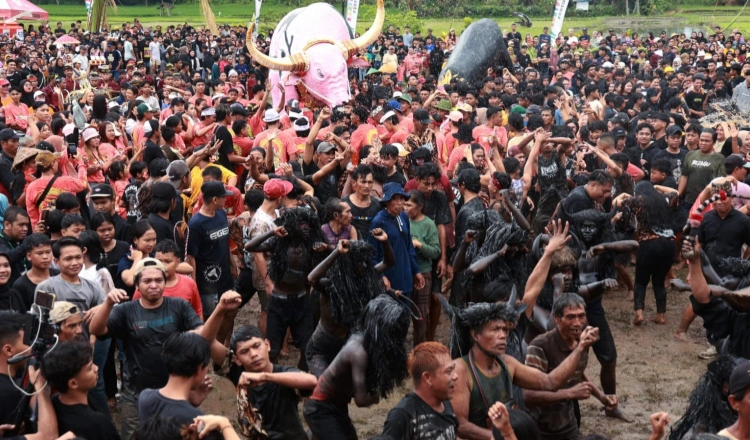 Tradisi Suroan Osing Banyuwangi