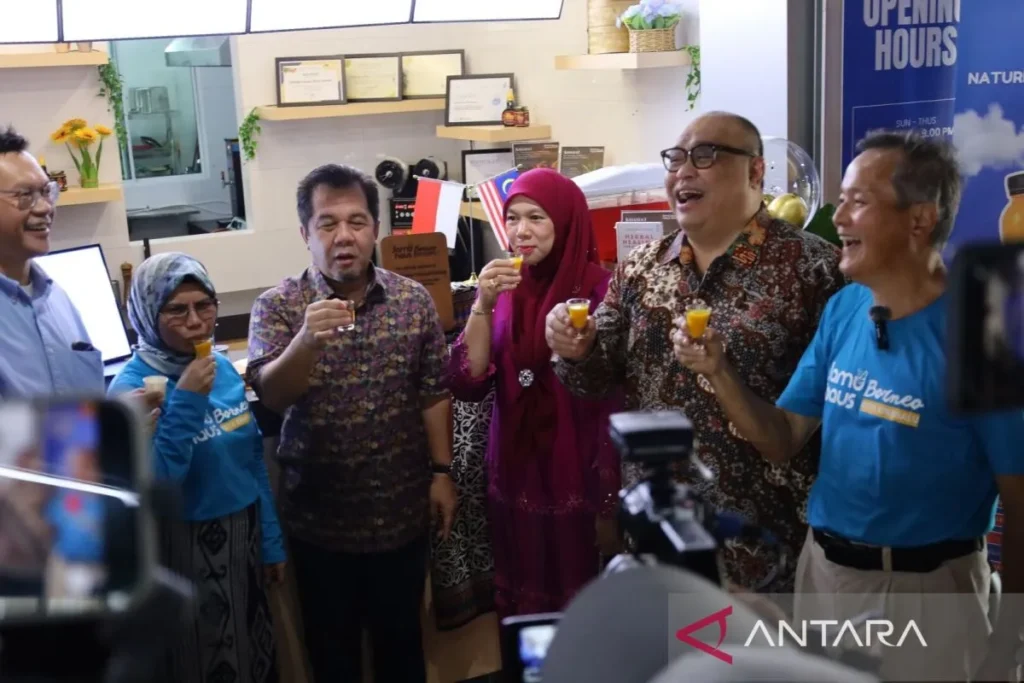 jamu indonesia