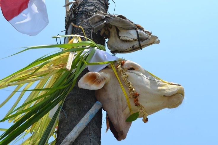 Sedekah Laut: Ritual Nelayan Jawa yang Bikin Merinding