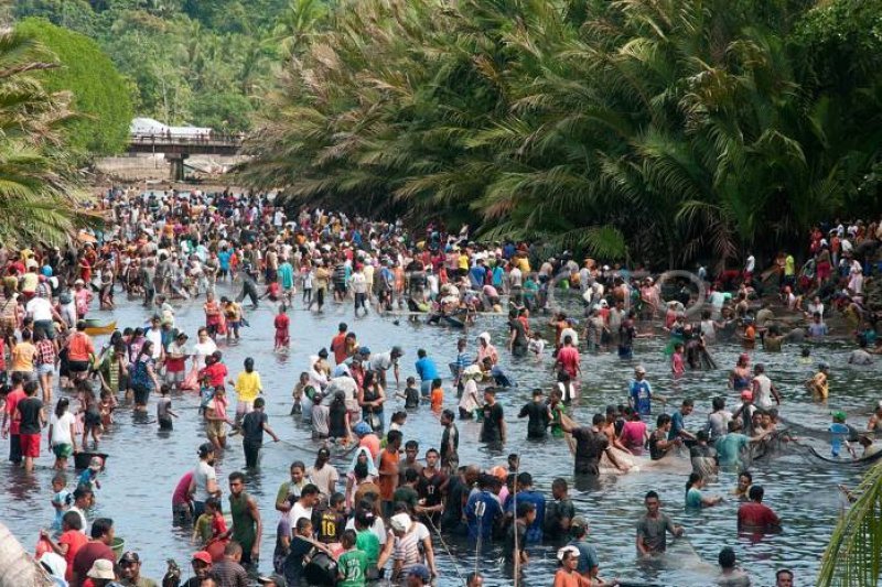 5 Rahasia Tradisi Sasi Maluku, Aturan Adat yang Bikin Alam “Beristirahat”